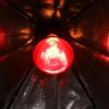 E27 220 В Тепловая Лампа Разведения Лампа Тепловой Излучатель Инфракрасный Обогреватель 100 Вт/150 Вт/200 Вт/250 Вт