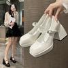 Square Toe Universal Shallow Buckle Leather Shoes, Thick Heels, High Heels, Single Shoes