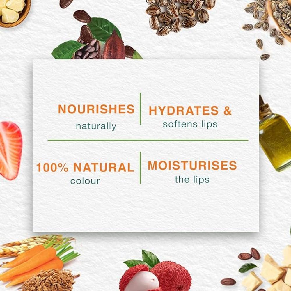 Himalaya Lip Balm, 10g, 20 Pieces