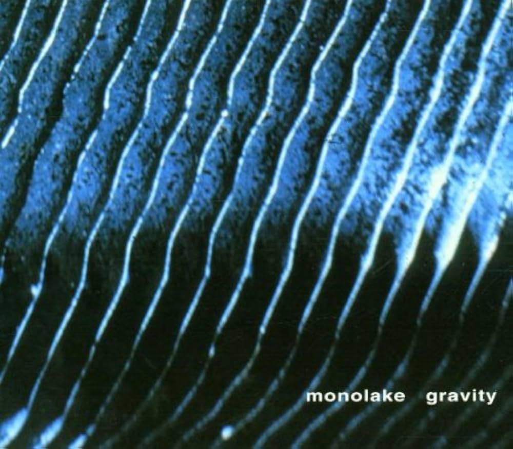 Виниловая пластинка MONOLAKE - Gravity FIDS371 FIELD 2025 Не Япония Soul/Funk
