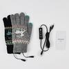 1 пара перчаток с подогревом и зарядкой через USB, сенсорный экран, регулируемый, 3 уровня нагрева, толстые