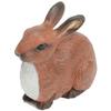 Safari Ltd 245429 Фигурка кролика, популярные игрушки в Корее