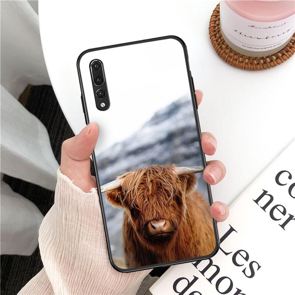 Cute Highland Cow Phone Case For Huawei P 8 9 10 20 30 40 50 Pro Lite Psmart Honor 10 Lite 70 Mate 20lite