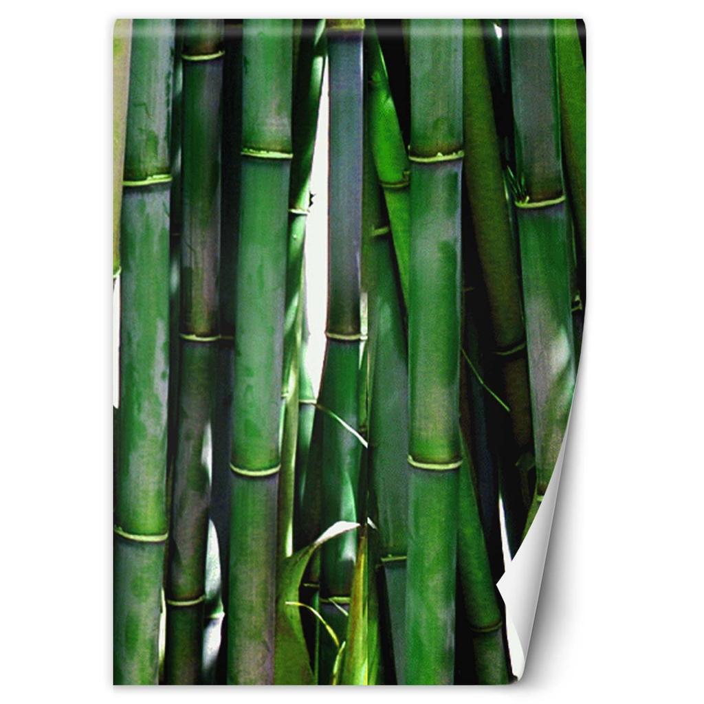 Wallpaper Green Bamboo Texture