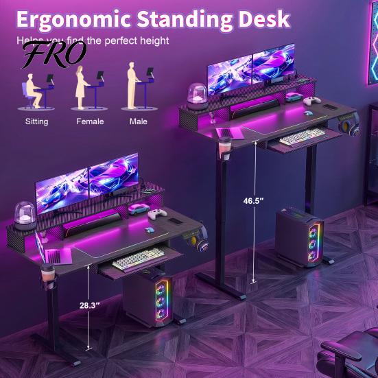 Gaming Desk Electric Standing Desk, 48" x 24" Height Adjustable with Power Outlets & LED Lights, Ergonomic Sit Stand Up Down Computer Table