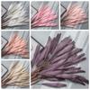 Reed Pampas Grass Artificial Flowers - Wedding Decorations, Green Plants, Simulation Flowers MW85502.