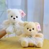 New Bear Doll Eight-inch Grab Machine Doll Cute Hug Bear Doll Wearing Skirt Teddy Bear Plush Toy Gift