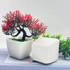 Искусственный бонсай Реалистичный вид Геометрическая форма В горшке Не выцветающий Не увядающий Не требующий ухода