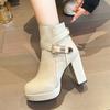 Fashion High Heels Women Ankle Boots Side Zip Fall Winter Platform Ladies Boots Large Size Fashion Shoes Black Beige Buckle Short Botas