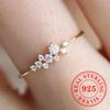 CAOSHI Aesthetic Daisy Flower Design Ring for Women 925 Sterling Silver Elegant Luxury Jewelry High-end Eternity Wedding Jewelry