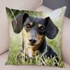 Mini Dachshund Cushion Cover Decor Pet Animal Pillowcase Sofa Home Children's Room Pillowcase
