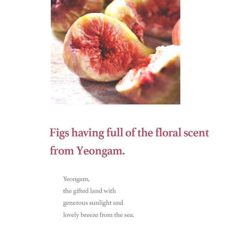 I'm from - Fig Scrub Mask Mini