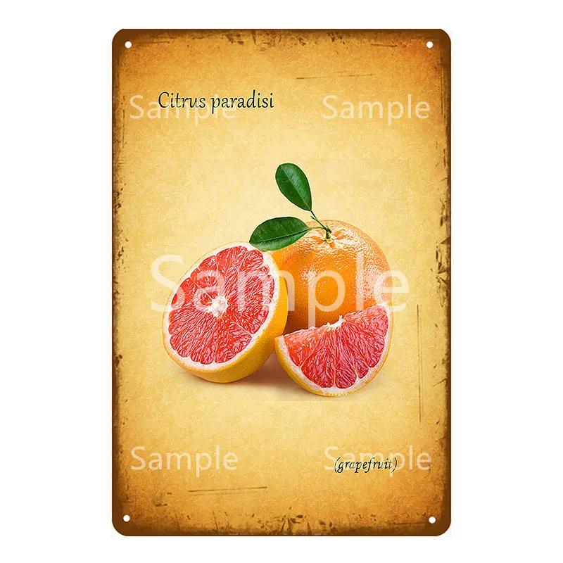 Памятная доска Thatchers Фрукты Бананы Металлическая вывеска Винтажное украшение фермы Домашний декор Наклейка на стену Магазин Живопись Постер для ресторана YL168