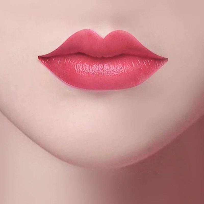 Li Jiaqi Recommend Non-Fading No Stain on Cup Burgundy Lipstick Raincoat Matte Long Lasting Waterproof Moisturizing Cherry Color