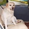Practical Car Door Protector Anti-scratch Waterproof Pet Dog Car Door Protector Right Side Black Rear Door Cover Guard for Auto