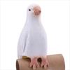 Mentalism Vanishing Dove Imitation Pigeon Fake Living Dove Comedy Props Dove Magic Tricks  Close-Up