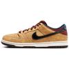 Кроссовки унисекс Dunk Low SB City of Cinema Gold Celestial-Gold Black FZ1278-200