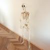 Skeleton Decor For Outdoor Movable Joints Full Size Skeleton Model Weather-Resistant Outdoor Decorations Spooky Photo Props