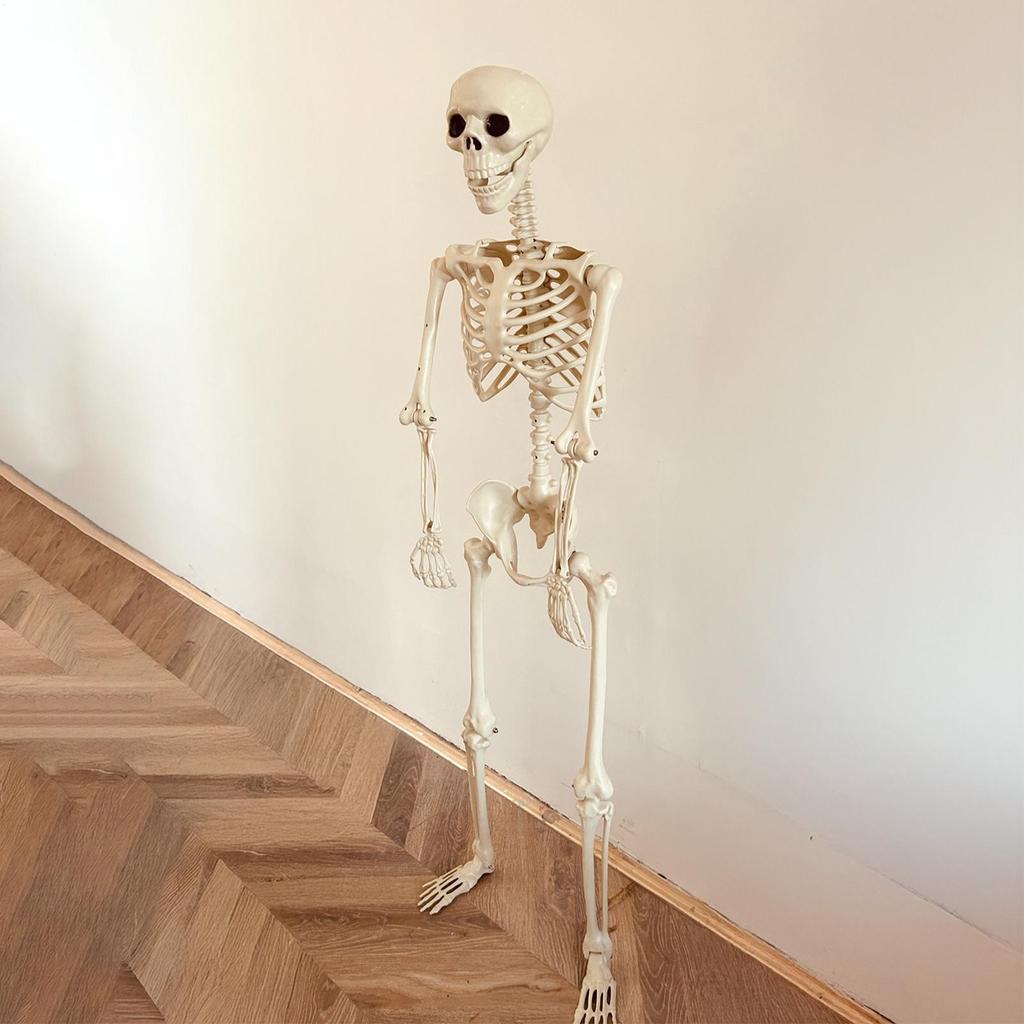 Skeleton Decor For Outdoor Movable Joints Full Size Skeleton Model Weather-Resistant Outdoor Decorations Spooky Photo Props