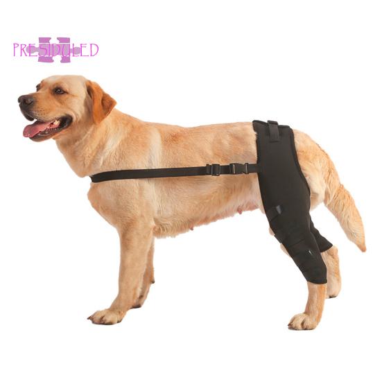 1 пара защитных снаряжений для домашних животных, мягкие дышащие регулируемые поддерживающие подтяжки для ног для домашних животных, восстановительный костюм для собак, товары для домашних животных