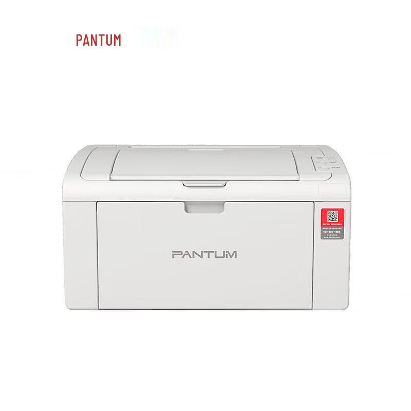 Pantum P2510 A4 Черно-белый лазерный принтер CN вилка (адаптер в комплекте)