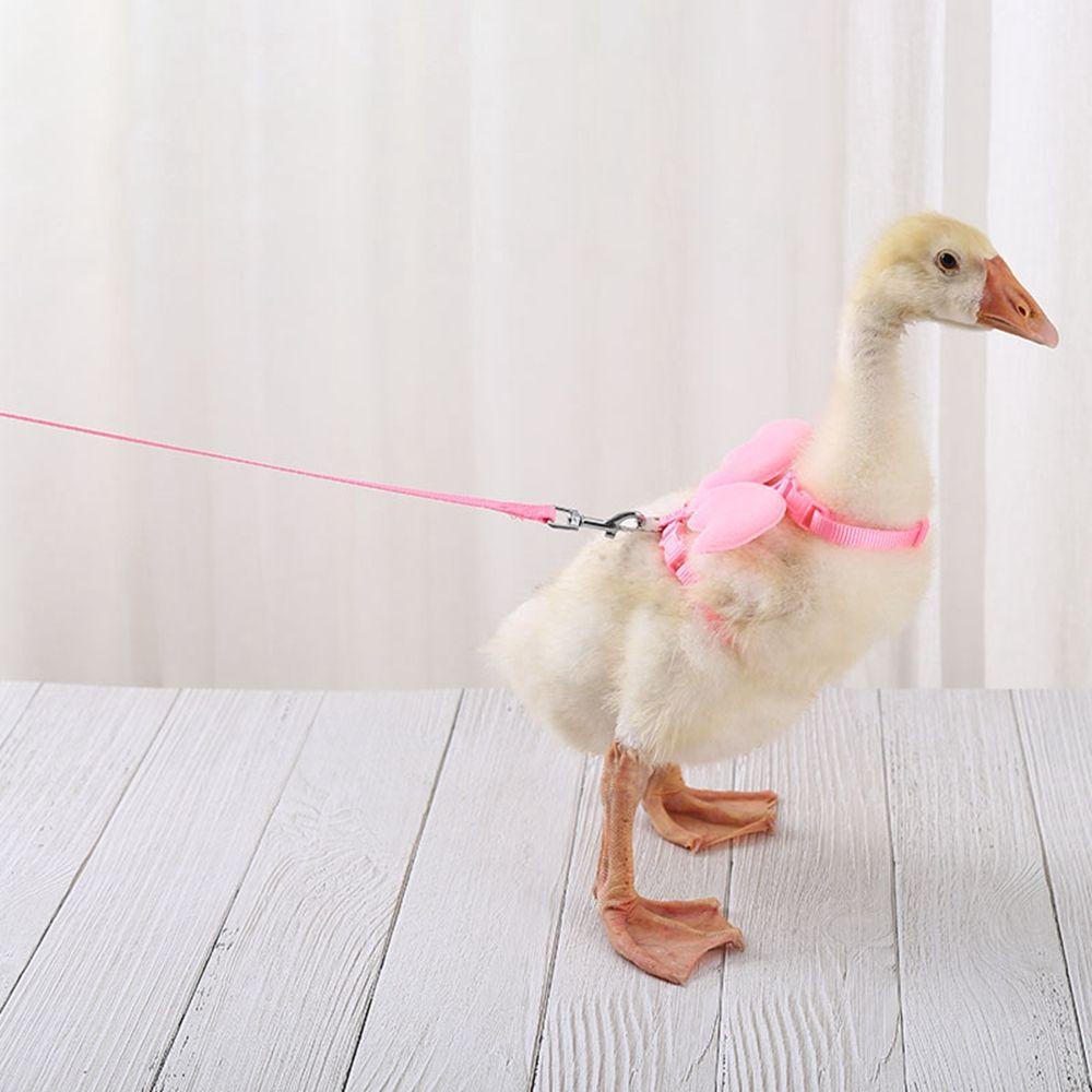 Adjustable Pet Decor Wing Pattern Puppy Leashes Duck Harness Hamster Clothes Angel Wing Harness