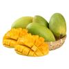 Fresh Hainan Golden Phoenix Mangoes, 5 Jin Pack