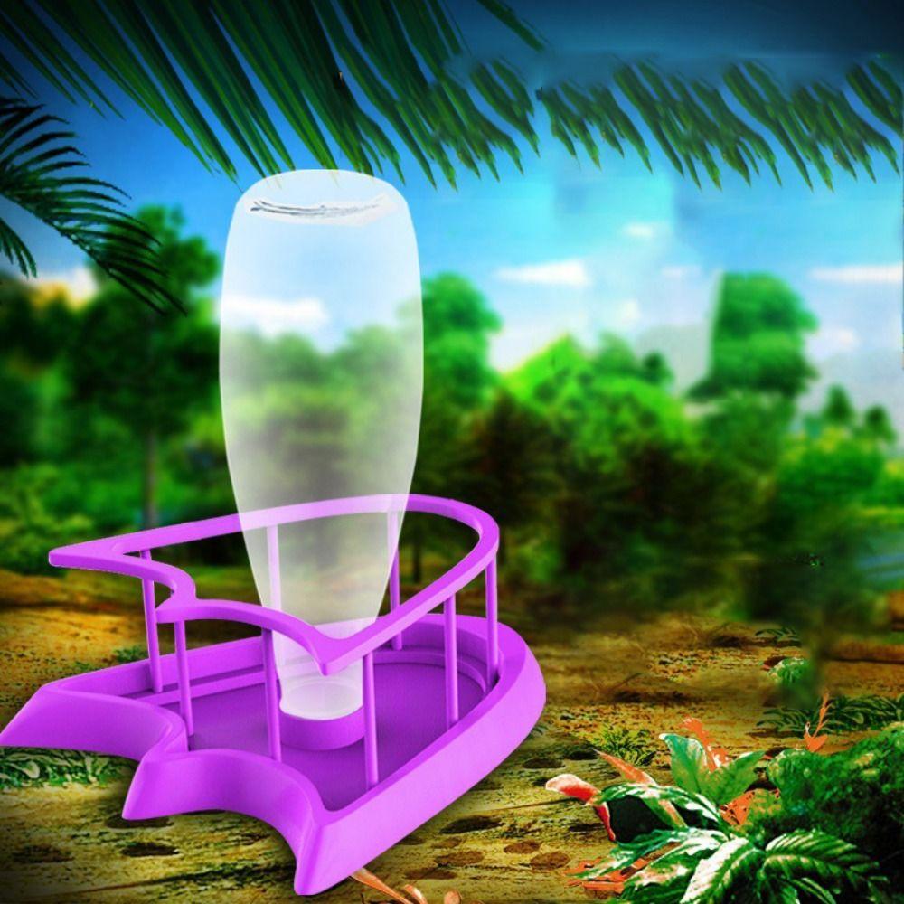 Accessories Turtle Food Container Lizard Food Bowel Reptile Feeder Tortoises Water Dispenser