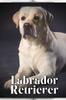 Книга Labrador Retriever : Dog Breed Guide
