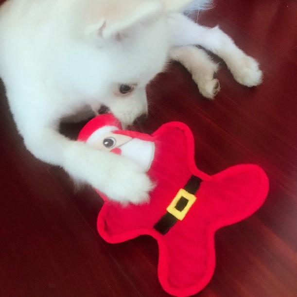 2025 Large Durable Christmas Chew Toy Indestructible Santa Claus Plush Aggressive Interactive Dog Toy Cute Cartoony PP