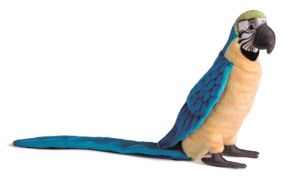 BH3068 HANSA Blue-throated Macaw 72