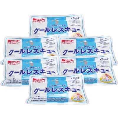 Sankei Shoji Quick Freeze Cool Набор без запаха для спасения, 90-минутный тип длительного действия, 6,