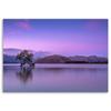 Canvas print, Tree in the middle of a lake
