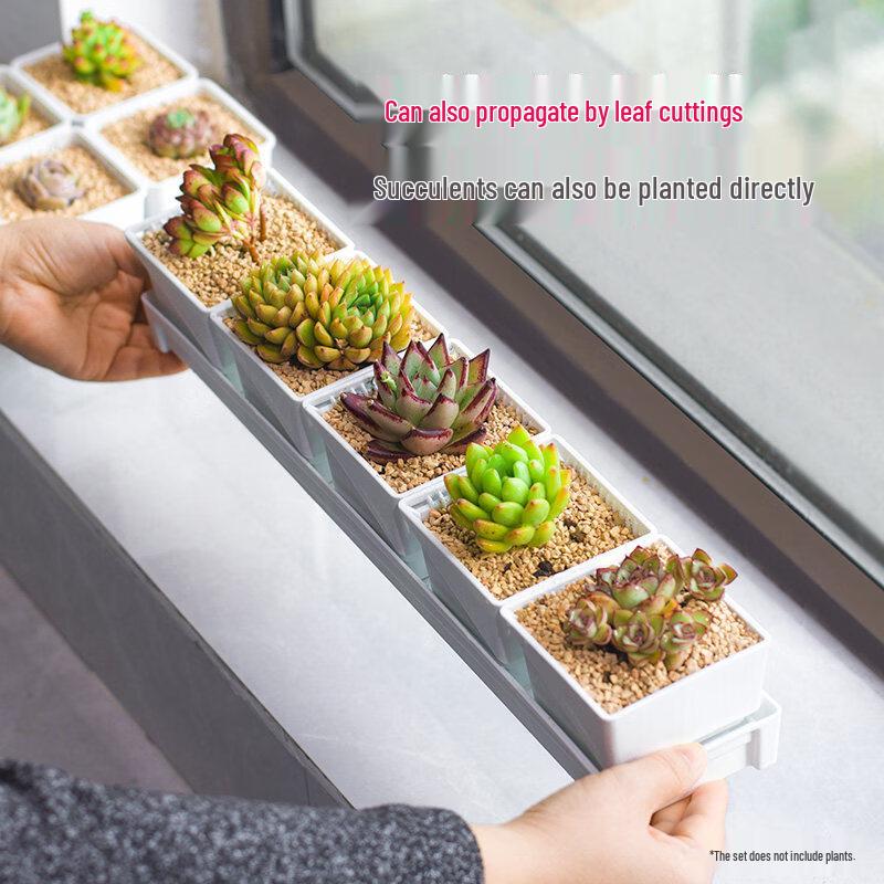 Rectangular Plastic Flower Pots with Drainage Trays