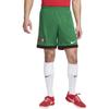 Шорты мужские спортивные облегающие Portugal Stadium Home средней посадки с логотипом и эластичным принтом светло-зеленые FJ4298-302