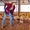 Heavy-Duty 3-in-1 Chicken Litter Scoop with Adjustable Long Handle - Durable Metal Shovel for Easy Sifting, Ideal for Pine Pellets & Coop Cleaning