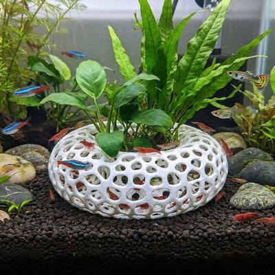 Žuvys ir jūros gyvūnai – Akvariumo dizainas