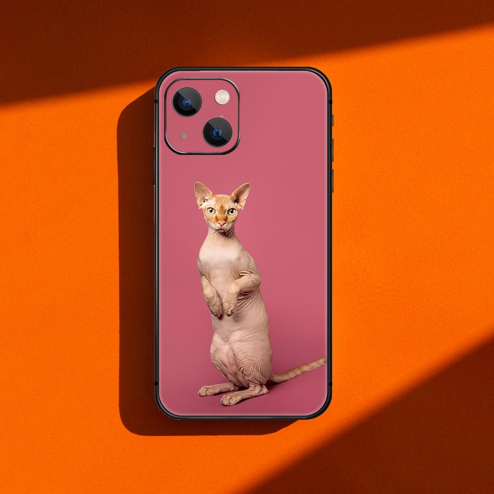 Модный чехол для телефона с изображением сфинкса и кота для iPhone Samsung Galaxy Redmi Xiaomi Oppo OnePlus Note SA 7 8 9 10 11 12 13 14 20 21 22 23 53 54 Pro Ultra