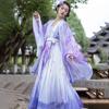 Chinese Hanfu Fairy Daily Wear Pleated Skirt Women's Suit