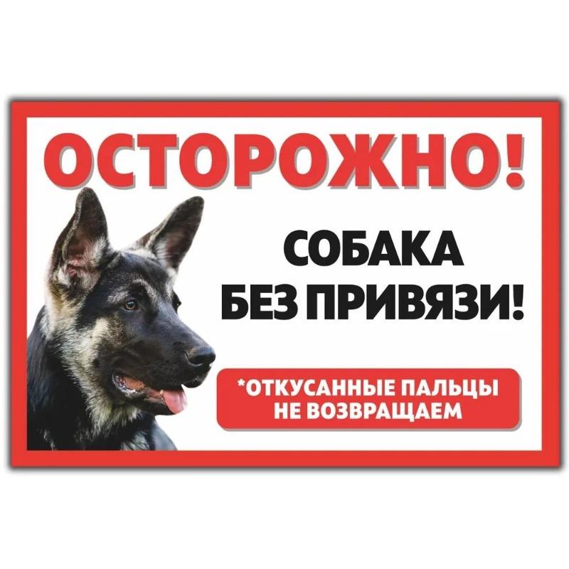 Смешная предупреждающая табличка о бродячей собаке, юмористическая табличка на забор