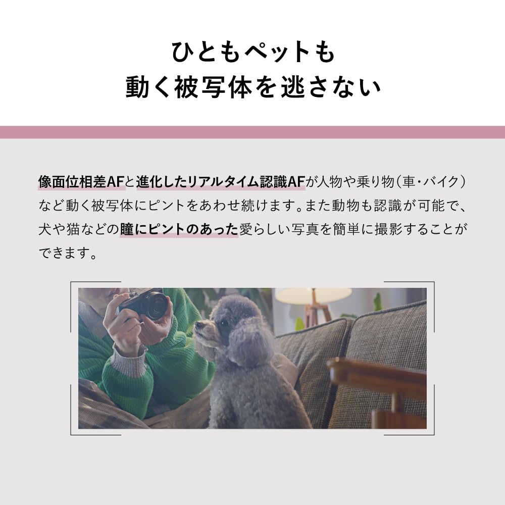 Беззеркальная камера Panasonic Lumix Комплект зум-объектива с высоким увеличением Jet Black Полнокадровая S9H-K DC-S9H-K