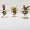 3 шт. декоративная геометрическая подставка для растений папоротника, металлическая, широко используемая подставка для воздушных растений, держатель для бара, декор