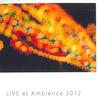 CD SHOGO MATSUI - Live At Ambience 2012 NONE NOT ON LABEL Япония Японский Поп/Рок Б/у