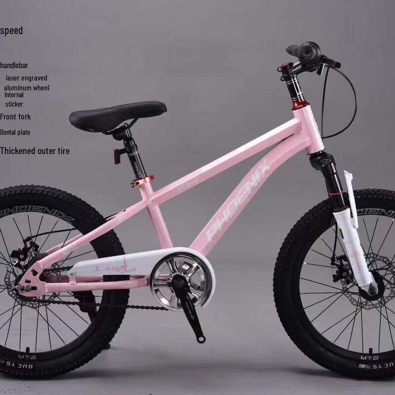 Phoenix 18-inch Kids Mountain Bike