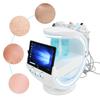 Multi Functional Skin Detection Beauty Machine Small Bubble Skin Scrubber Machine
