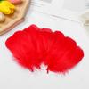 Wedding Ornaments Natural Color Home Decoration Colorful Feather Costume Decoration Goose Feathers