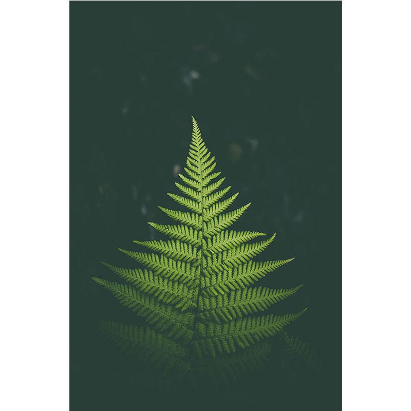 Современная картина на холсте с природой, зеленые листья, картины с растениями, постеры с деревьями, принты для декора гостиной, настенное искусство куадрос