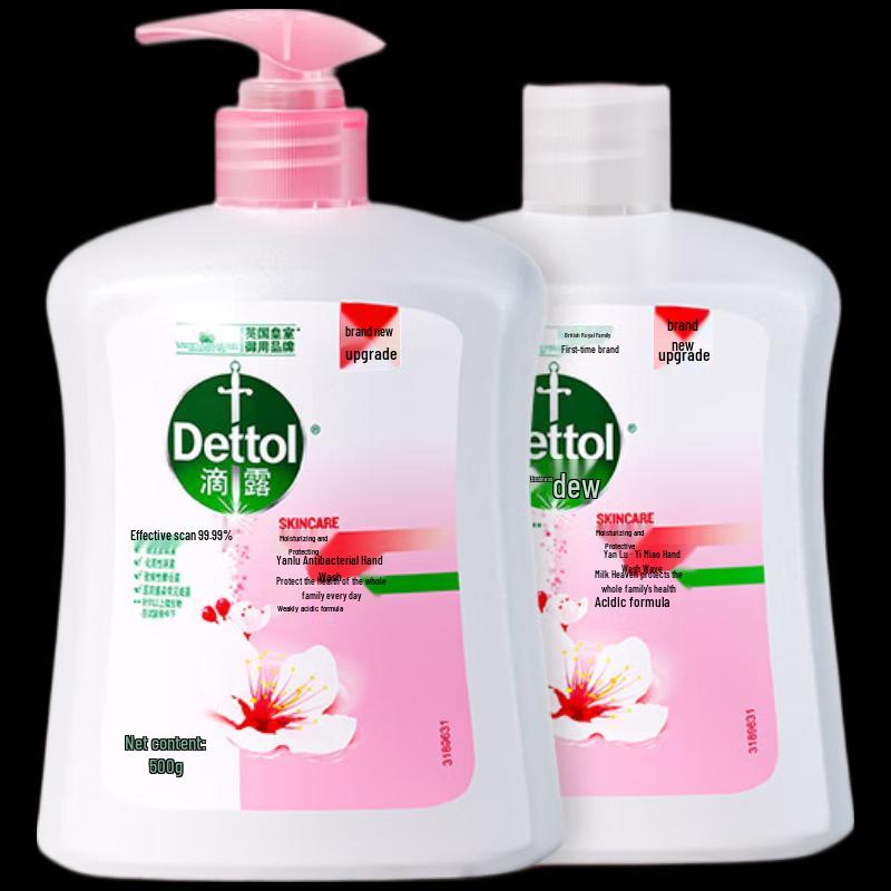 Dettol Antibacterial Moisturizing Hand Wash Family Pack
