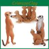Mongoose Pvc Realistic Animal Model Toy For Kids Learning Decorations Gifts