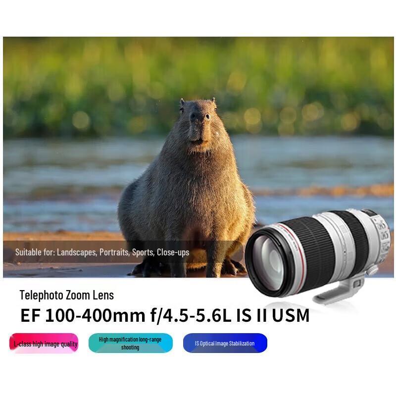 Canon Объектив EF 100-400mm f/4.5-5.6L IS II USM